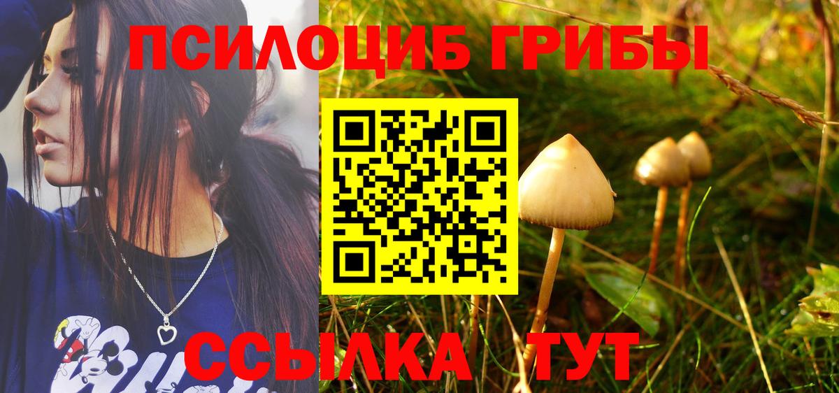 Беслан  Псилоцибиновые грибы прущие грибы  Вход с VPN 