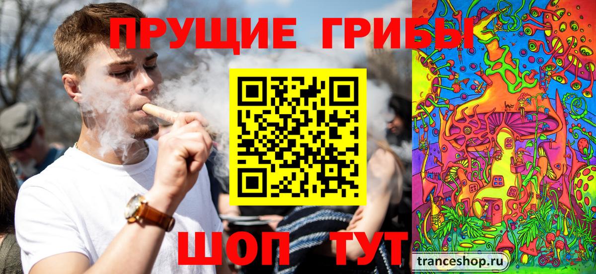 Галлюциногенные грибы Psilocybe Беслан